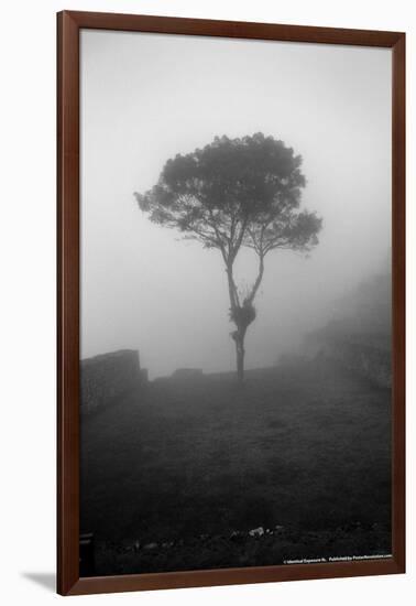 Lone Tree Macchu Picchu Peru-null-Framed Photo