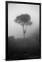 Lone Tree Macchu Picchu Peru-null-Framed Photo