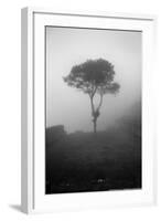 Lone Tree Macchu Picchu Peru-null-Framed Photo