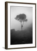 Lone Tree Macchu Picchu Peru-null-Framed Photo