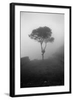 Lone Tree Macchu Picchu Peru-null-Framed Photo