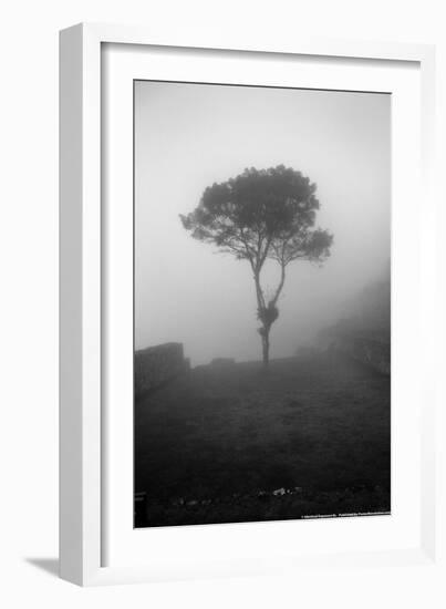 Lone Tree Macchu Picchu Peru-null-Framed Photo