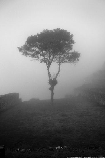 Photo, , large