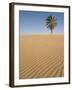 Lone Tree on Dune, Sahara Desert, Merzouga, Morocco, North Africa, Africa-Kim Walker-Framed Photographic Print