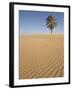Lone Tree on Dune, Sahara Desert, Merzouga, Morocco, North Africa, Africa-Kim Walker-Framed Photographic Print
