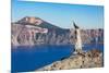 Lone tree trunk over Crater Lake, the deepest lake in the U.S.A., part of the Cascade Range, Oregon-Martin Child-Mounted Photographic Print