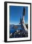 Lone tree trunk over Crater Lake, the deepest lake in the U.S.A., part of the Cascade Range, Oregon-Martin Child-Framed Photographic Print