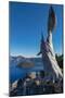 Lone tree trunk over Crater Lake, the deepest lake in the U.S.A., part of the Cascade Range, Oregon-Martin Child-Mounted Photographic Print