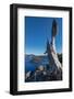 Lone tree trunk over Crater Lake, the deepest lake in the U.S.A., part of the Cascade Range, Oregon-Martin Child-Framed Photographic Print