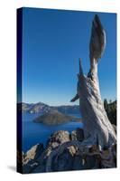 Lone tree trunk over Crater Lake, the deepest lake in the U.S.A., part of the Cascade Range, Oregon-Martin Child-Stretched Canvas