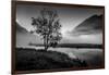 Lone tree with morning fog seen on Tern Lake, Kenai Penninsula, Alaska-null-Framed Photographic Print