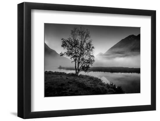 Premium Photographic Print, , large