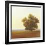 Lone Tree-Todd Telander-Framed Art Print