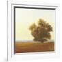 Lone Tree-Todd Telander-Framed Art Print