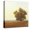 Lone Tree-Todd Telander-Stretched Canvas