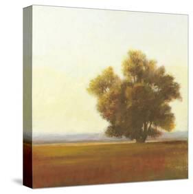 Lone Tree-Todd Telander-Stretched Canvas