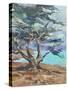 LONE TREE-ALLAYN STEVENS-Stretched Canvas
