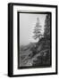 Lone Tree-Laura Denardo-Framed Photographic Print