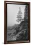 Lone Tree-Laura Denardo-Framed Photographic Print