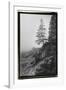 Lone Tree-Laura Denardo-Framed Photographic Print