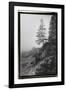 Lone Tree-Laura Denardo-Framed Photographic Print