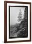 Lone Tree-Laura Denardo-Framed Photographic Print