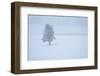 Lone tree-George Theodore-Framed Photographic Print