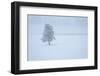 Lone tree-George Theodore-Framed Photographic Print