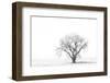 Lone tree-George Theodore-Framed Photographic Print