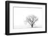 Lone tree-George Theodore-Framed Photographic Print