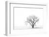 Lone tree-George Theodore-Framed Photographic Print