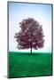 Lone Tree-Steven Maxx-Mounted Photographic Print