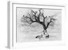 Lone Wolf And Tree-Ata Alishahi-Framed Giclee Print