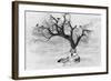 Lone Wolf And Tree-Ata Alishahi-Framed Giclee Print