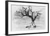 Lone Wolf And Tree-Ata Alishahi-Framed Giclee Print