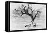 Lone Wolf And Tree-Ata Alishahi-Framed Stretched Canvas