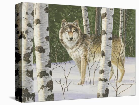 Lone Wolf-William Vanderdasson-Stretched Canvas