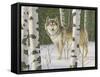 Lone Wolf-William Vanderdasson-Framed Stretched Canvas