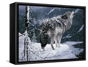 Lone Wolf-Jeff Tift-Framed Stretched Canvas