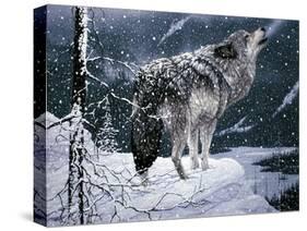Lone Wolf-Jeff Tift-Stretched Canvas
