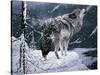 Lone Wolf-Jeff Tift-Stretched Canvas