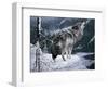 Lone Wolf-Jeff Tift-Framed Giclee Print