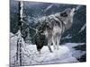 Lone Wolf-Jeff Tift-Mounted Giclee Print