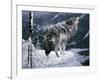 Lone Wolf-Jeff Tift-Framed Giclee Print