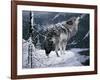 Lone Wolf-Jeff Tift-Framed Giclee Print