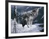 Lone Wolf-Jeff Tift-Framed Giclee Print