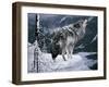 Lone Wolf-Jeff Tift-Framed Premium Giclee Print