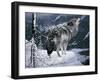 Lone Wolf-Jeff Tift-Framed Premium Giclee Print