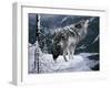 Lone Wolf-Jeff Tift-Framed Premium Giclee Print