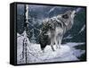 Lone Wolf-Jeff Tift-Framed Stretched Canvas